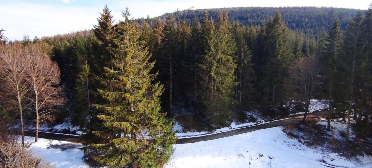 Ferienwohnung Tannenballett Im Schwarzwald Baiersbronn Exterior foto