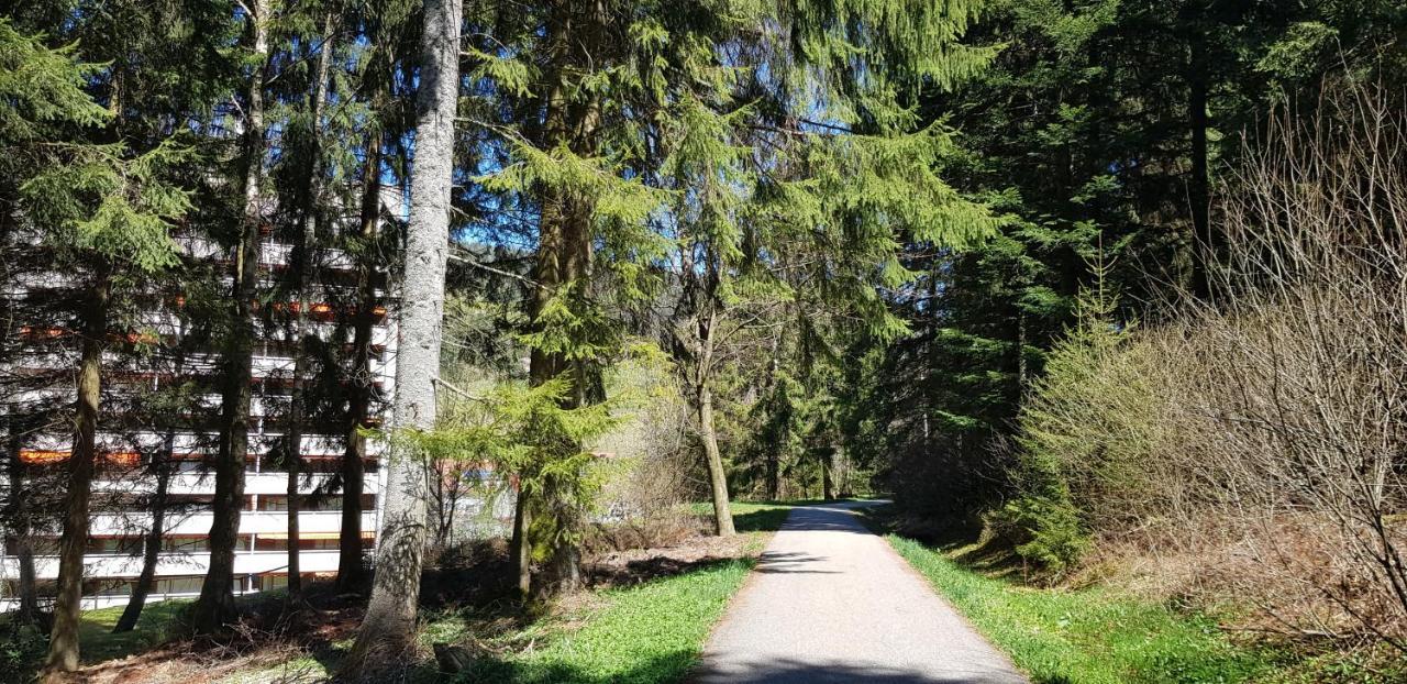 Ferienwohnung Tannenballett Im Schwarzwald Baiersbronn Exterior foto