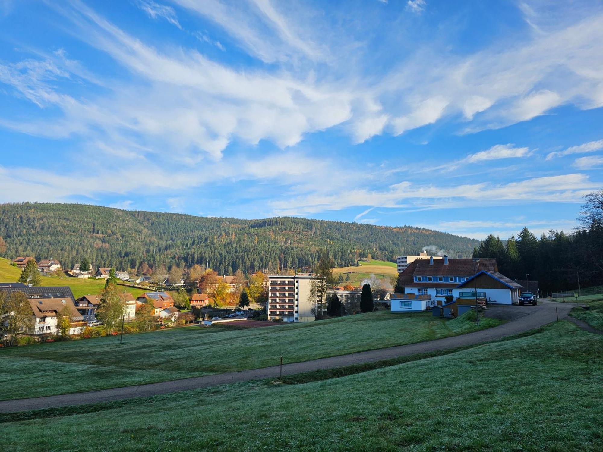 Ferienwohnung Tannenballett Im Schwarzwald Baiersbronn Exterior foto