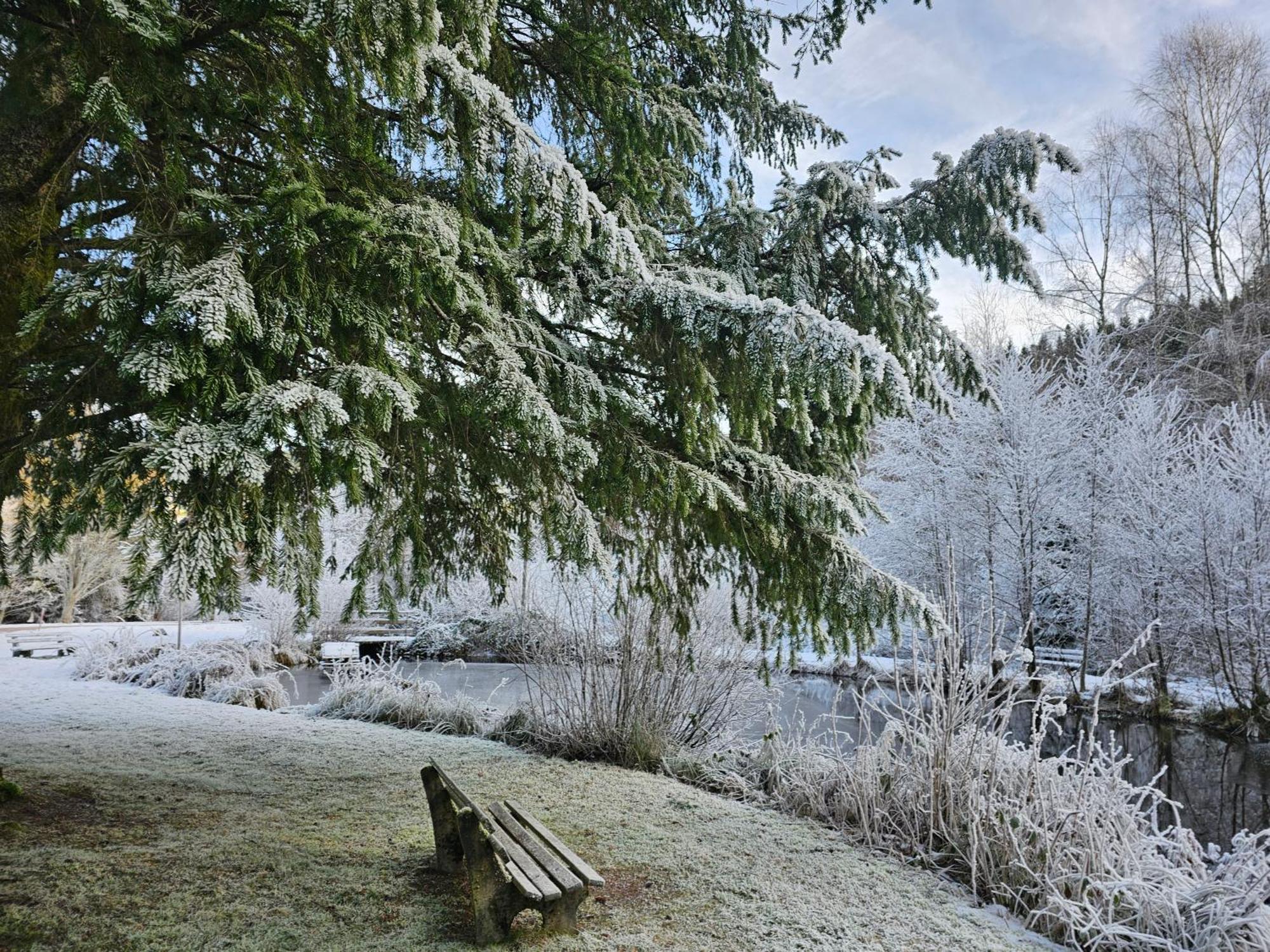 Ferienwohnung Tannenballett Im Schwarzwald Baiersbronn Exterior foto